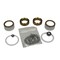 Bedford Precision Parts Bedford Precision Repair Kit for 28:1 & 30:1 President Teflon - Replacement for Graco 207-850 20-681 - alternate 2